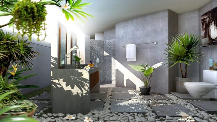 Best houseplants